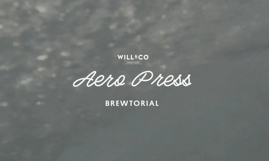 AEROPRESS - Will & Co Coffee