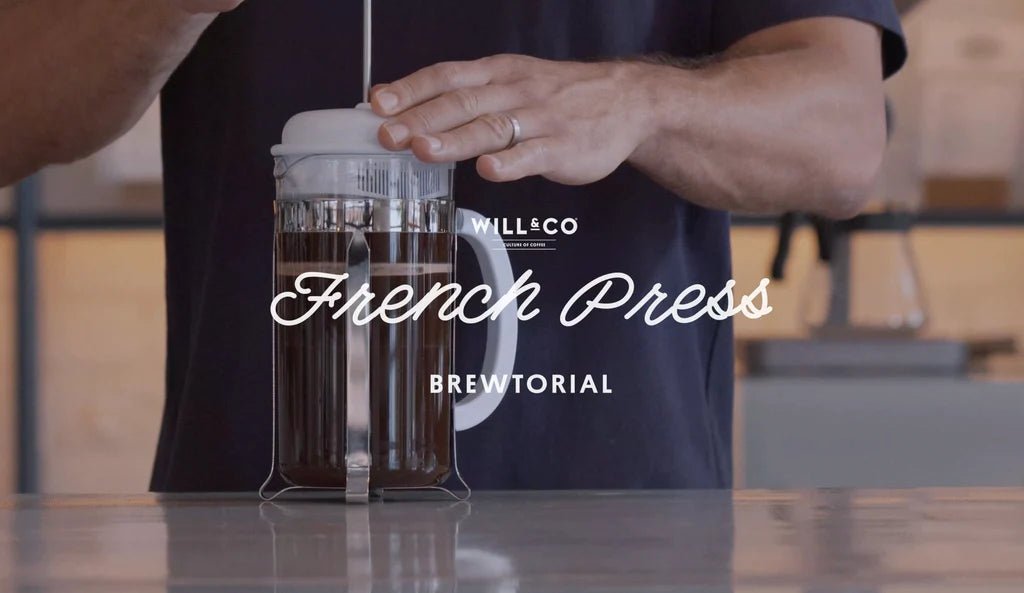 FRENCH PRESS - Will & Co Coffee