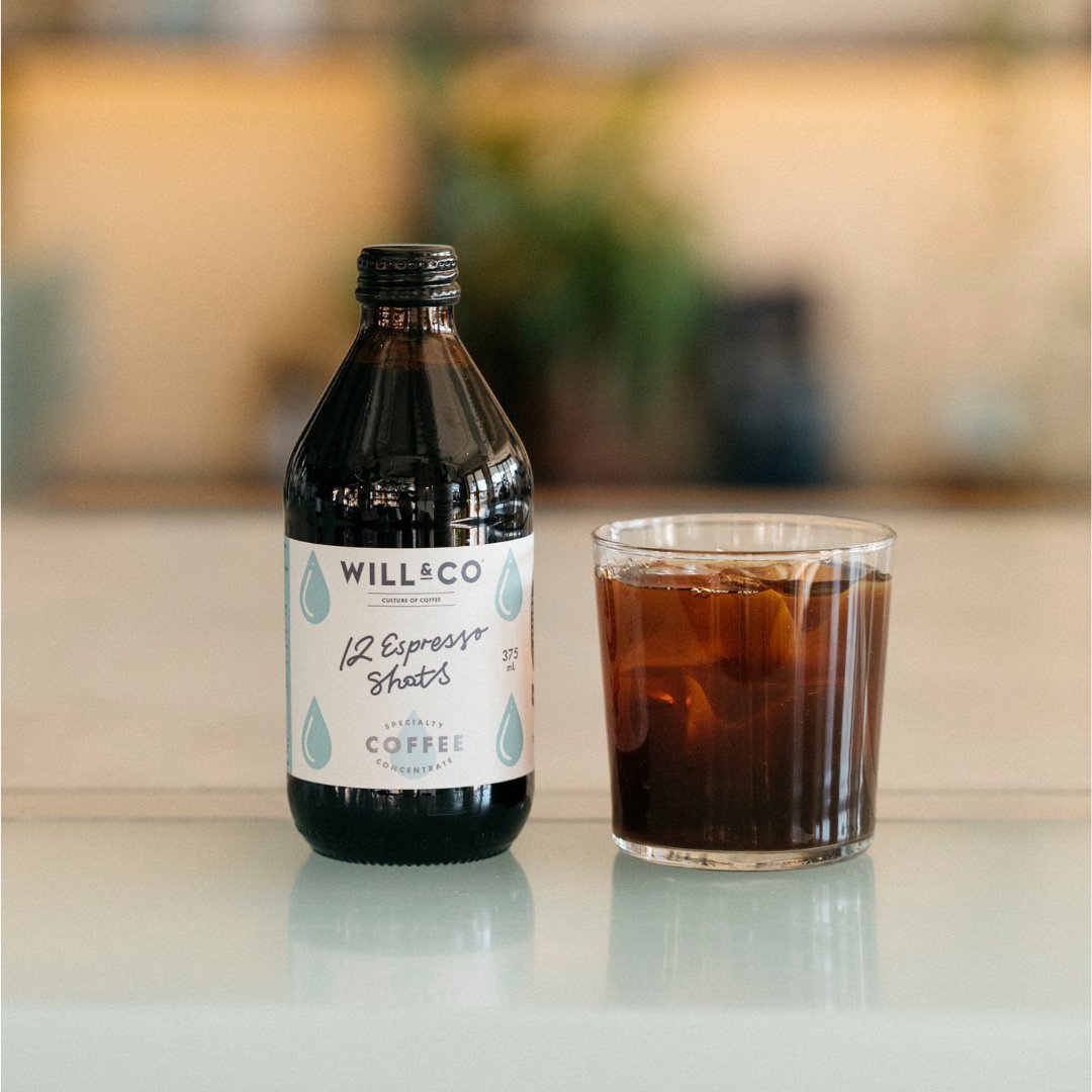 Specialty Coffee Concentrate - Will & Co Coffee