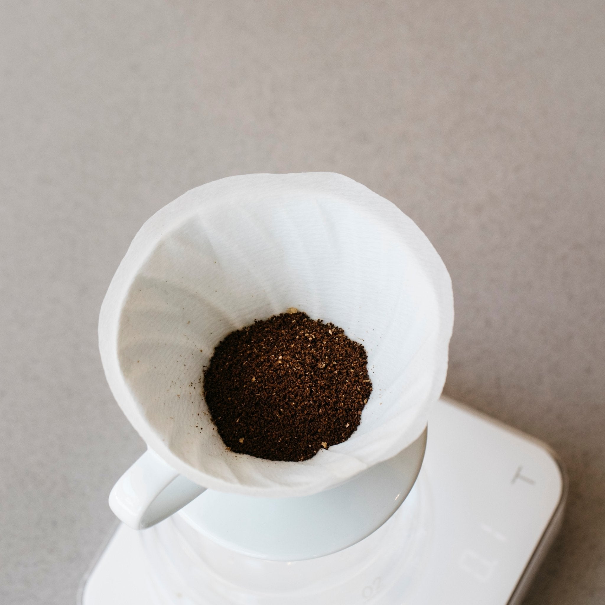 Hario V60 Papers - Will & Co Coffee