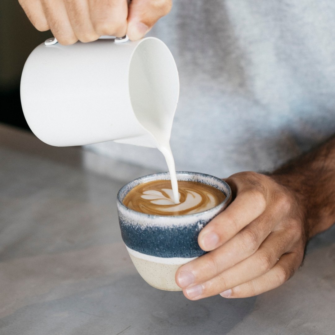 Splendid Wren x Will & Co Latte Cup & Saucer - Will & Co Coffee