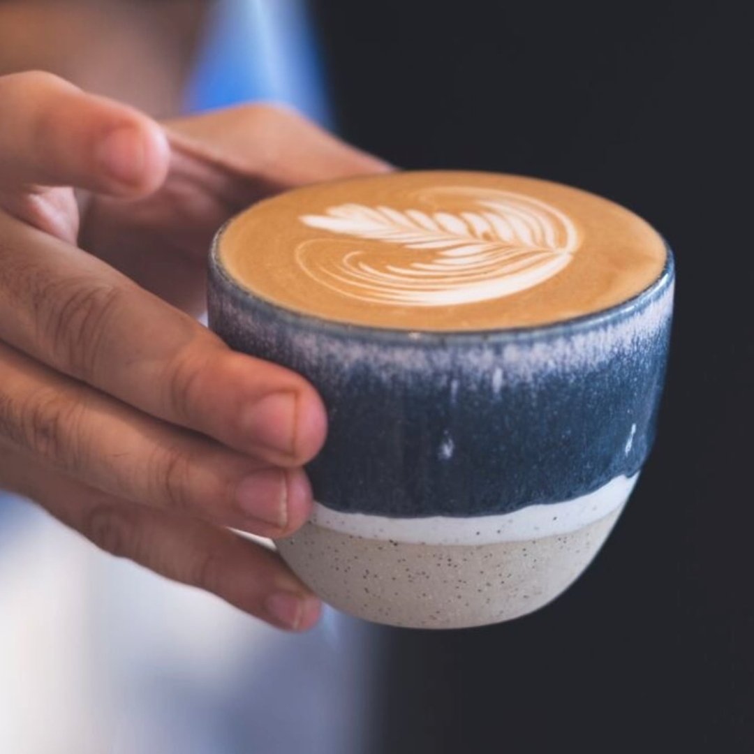 Splendid Wren x Will & Co Latte Cup & Saucer - Will & Co Coffee